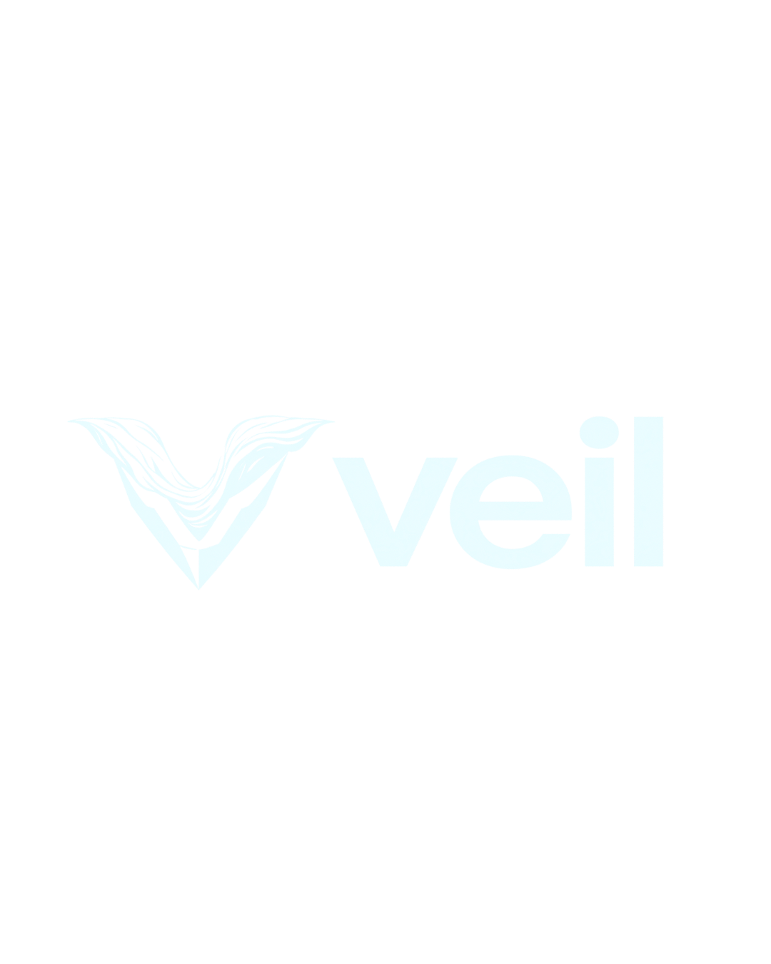 Veil